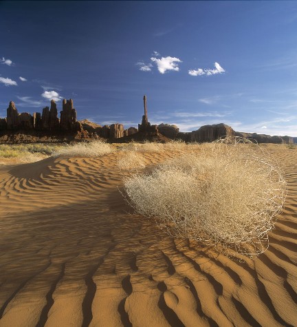 Tumbleweed_Dunes (60k image)